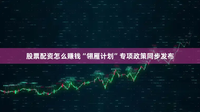 股票配资怎么赚钱“翎雁计划”专项政策同步发布