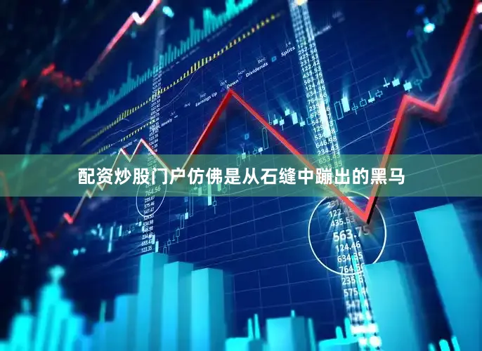 配资炒股门户仿佛是从石缝中蹦出的黑马